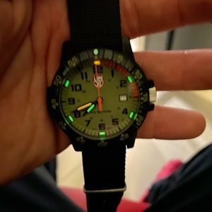 Luminox Leatherback Sea Turtle